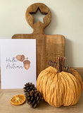 Hello Autumn Acorn Autumn Seasonal Wall Home Decor Print