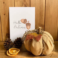 Hello Autumn Acorn Autumn Seasonal Wall Home Decor Print